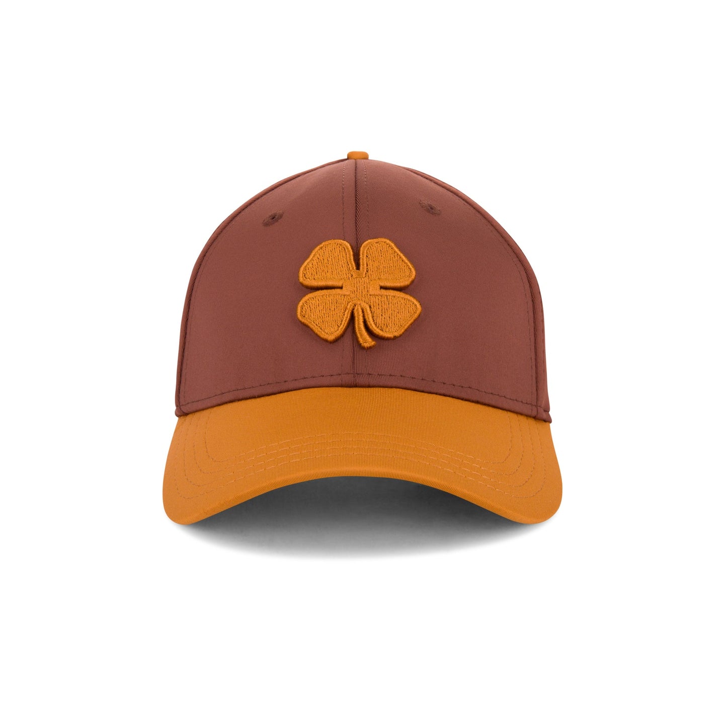 UAE premium Clover Orange